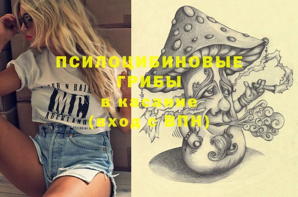 молекула духа Ростов
