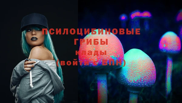 героин Рославль