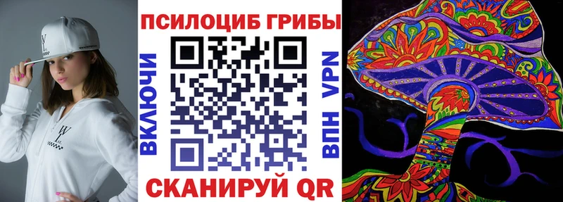 Псилоцибиновые грибы GOLDEN TEACHER  где можно купить   Пучеж 